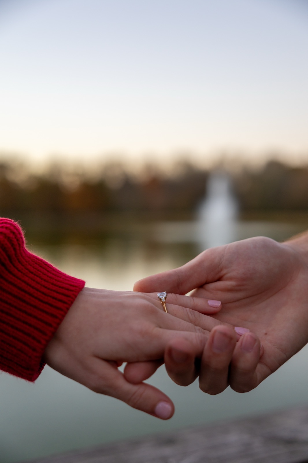 Engagement ring detail
