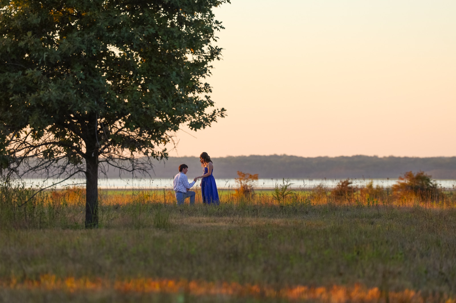 Surprise proposal at Sardis Lake, he kneels under a tree by the water at sunset, proposal photography in Mississippi